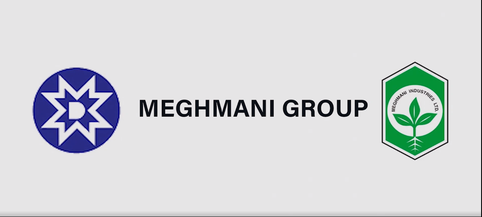 Meghmani logo